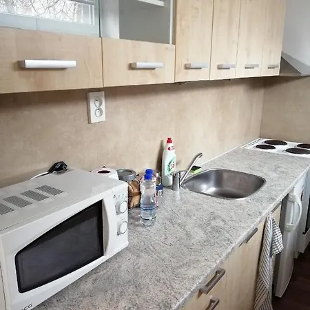 U Stribrnych Aparthotel *