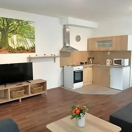 Aparthotel U Stribrnych