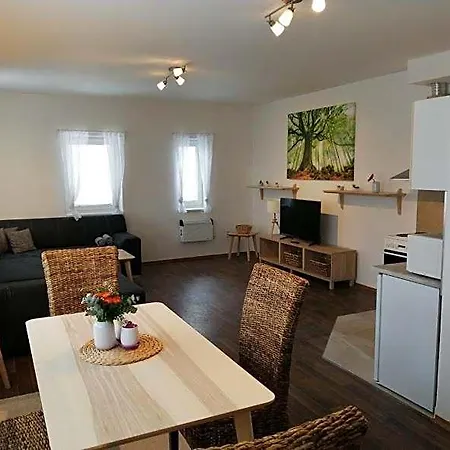 Aparthotel U Stribrnych 4*