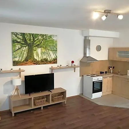 U Stribrnych Aparthotel 4*