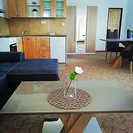 Aparthotel U Stribrnych 4*