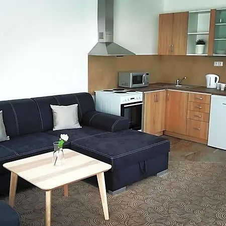 Aparthotel U Stribrnych 4*