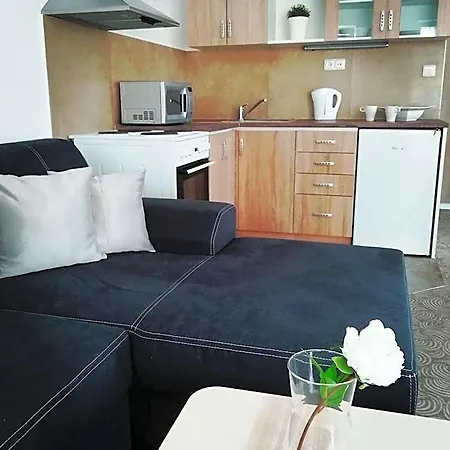 U Stříbrných Apartahotel 4*