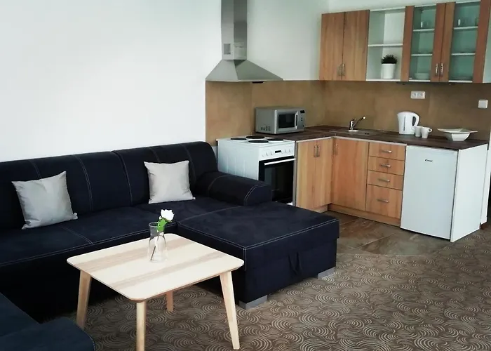 Apartmanhotel U Stribrnych 4*