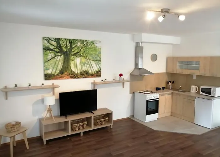Apartmanhotel U Stribrnych