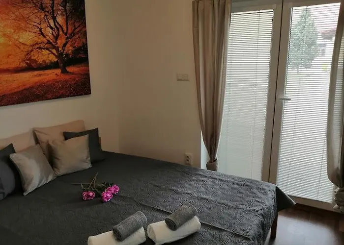 Apartmanhotel U Stribrnych Hradec Králové