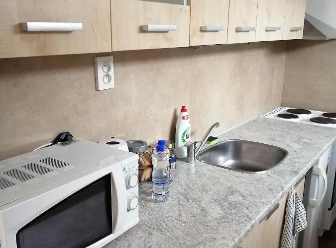 U Stribrnych Apartmanhotel 4*